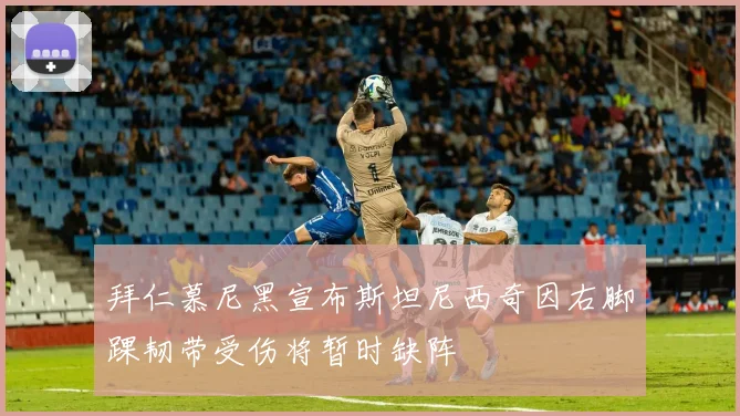 拜仁慕尼黑宣布斯坦尼西奇因右脚踝韧带受伤将暂时缺阵