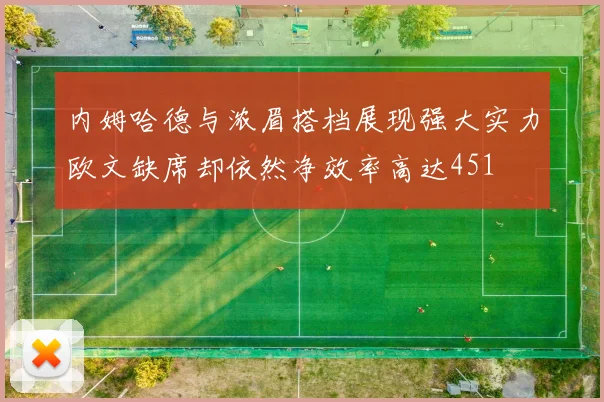 内姆哈德与浓眉搭档展现强大实力欧文缺席却依然净效率高达451