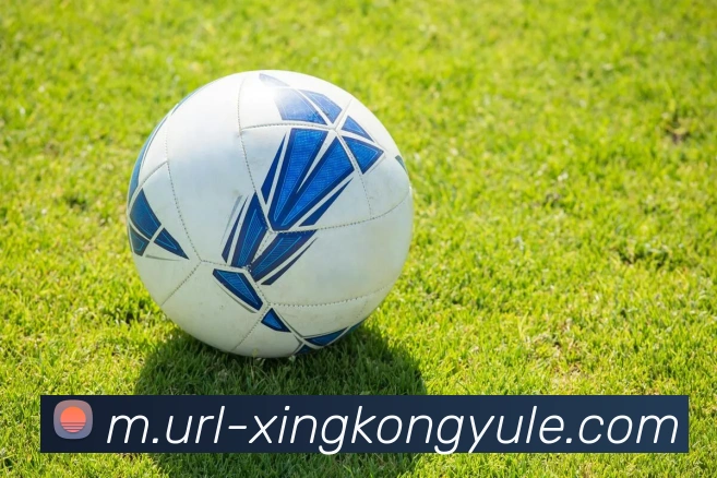 星空娱乐平台生态图