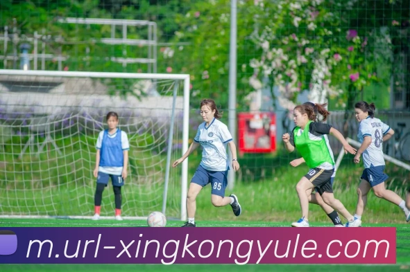 数据防护可视化